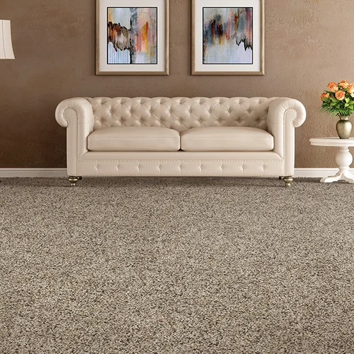 Baystate Rug & Flooring providing stain-resistant pet proof carpet in Chicopee, MA